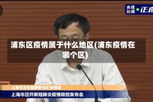 浦东区疫情属于什么地区(浦东疫情在哪个区)