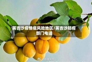 英吉沙疫情低风险地区/英吉沙防疫部门电话