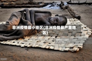 非洲疫情最小地区(非洲疫情最严重地区)