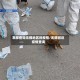 怎样查询无锡地区的疫情/无锡附近疫情查询
