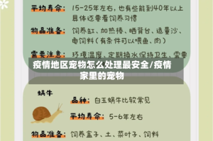 疫情地区宠物怎么处理最安全/疫情家里的宠物
