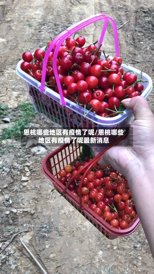 恩桃哪些地区有疫情了呢/恩桃哪些地区有疫情了呢最新消息-第1张图片