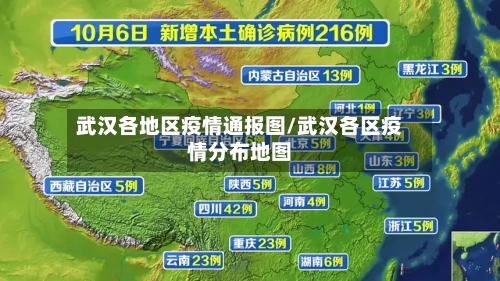 武汉各地区疫情通报图/武汉各区疫情分布地图-第3张图片