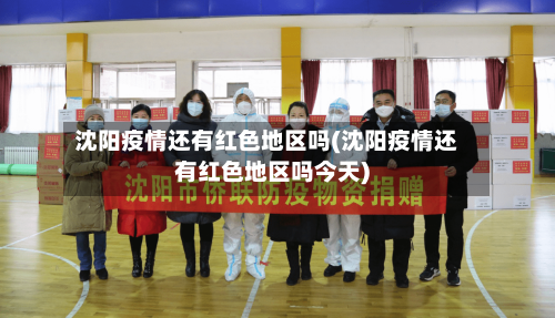 沈阳疫情还有红色地区吗(沈阳疫情还有红色地区吗今天)-第1张图片
