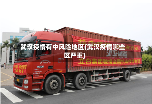 武汉疫情有中风险地区(武汉疫情哪些区严重)-第1张图片