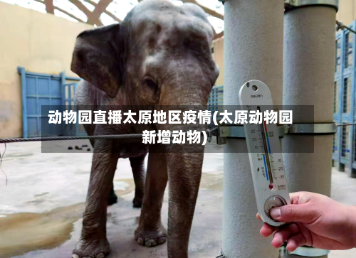 动物园直播太原地区疫情(太原动物园新增动物)-第1张图片