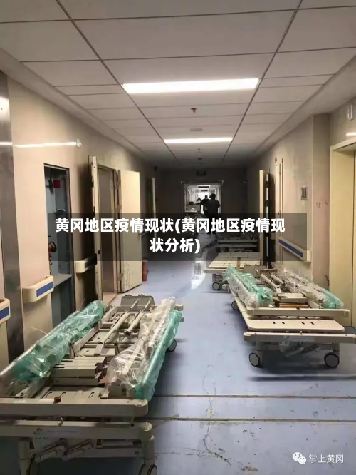 黄冈地区疫情现状(黄冈地区疫情现状分析)-第1张图片