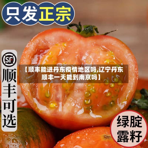 【顺丰能进丹东疫情地区吗,辽宁丹东顺丰一天能到南京吗】-第1张图片