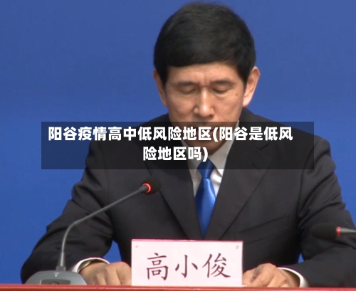 阳谷疫情高中低风险地区(阳谷是低风险地区吗)-第1张图片