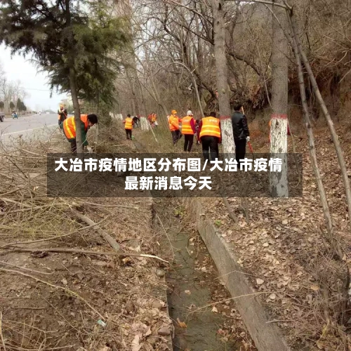 大冶市疫情地区分布图/大冶市疫情最新消息今天-第3张图片