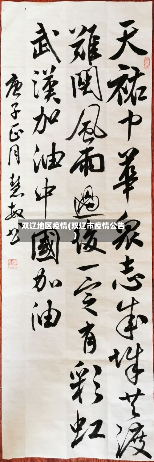 双辽地区疫情(双辽市疫情公告)-第3张图片