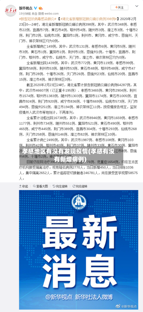 孝感地区有没有发现疫情(孝感有没有新增病例)-第1张图片