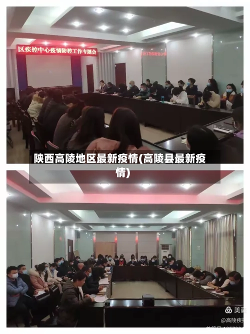 陕西高陵地区最新疫情(高陵县最新疫情)-第2张图片