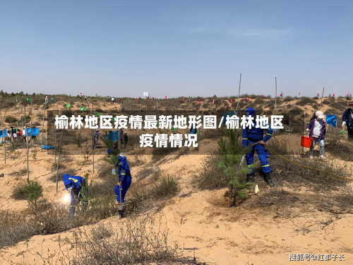 榆林地区疫情最新地形图/榆林地区疫情情况-第3张图片