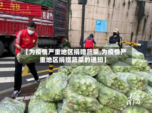 【为疫情严重地区捐赠蔬菜,为疫情严重地区捐赠蔬菜的通知】-第1张图片