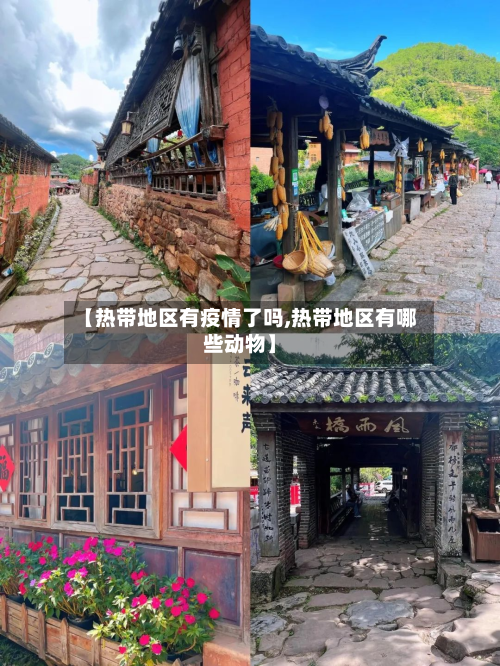 【热带地区有疫情了吗,热带地区有哪些动物】-第2张图片