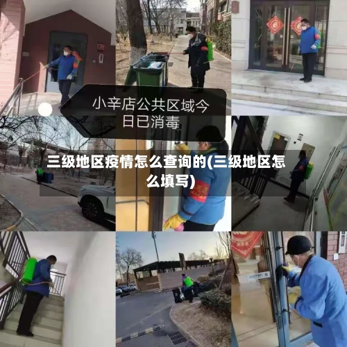 三级地区疫情怎么查询的(三级地区怎么填写)-第3张图片