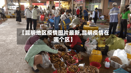 【昆明地区疫情图片最新,昆明疫情在哪个区】-第1张图片