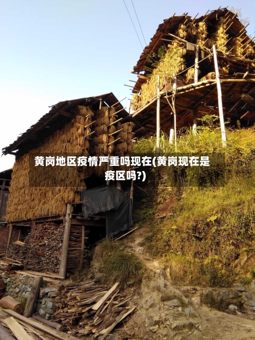 黄岗地区疫情严重吗现在(黄岗现在是疫区吗?)-第2张图片