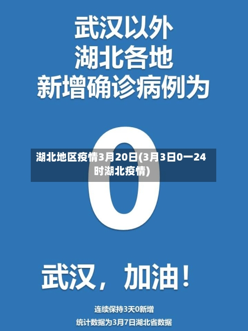 湖北地区疫情3月20日(3月3日0一24时湖北疫情)-第3张图片
