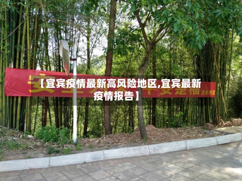 【宜宾疫情最新高风险地区,宜宾最新疫情报告】-第2张图片