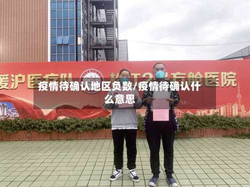 疫情待确认地区负数/疫情待确认什么意思-第2张图片