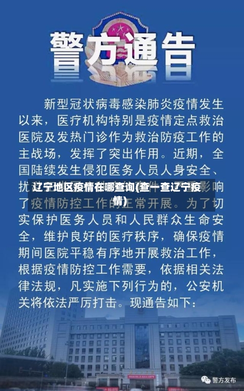 辽宁地区疫情在哪查询(查一查辽宁疫情)-第3张图片