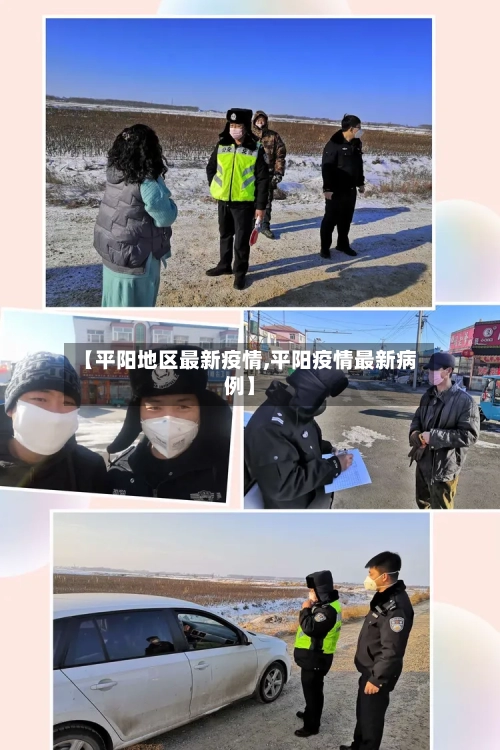 【平阳地区最新疫情,平阳疫情最新病例】-第1张图片