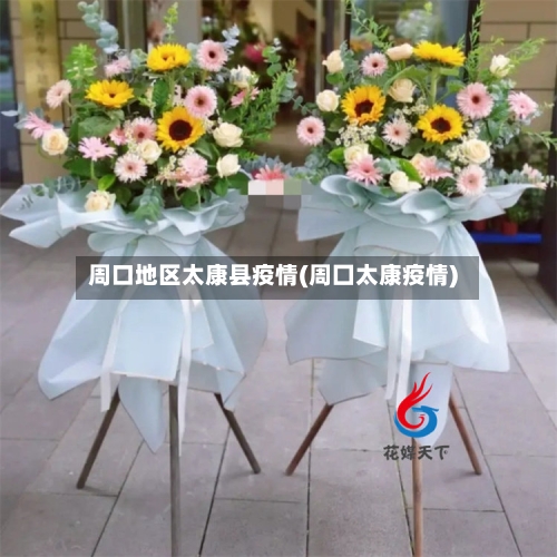 周口地区太康县疫情(周囗太康疫情)-第1张图片