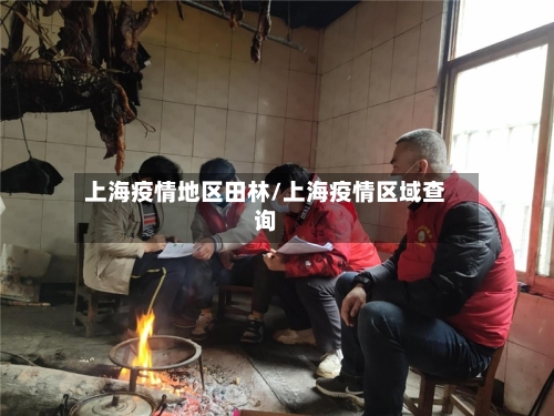 上海疫情地区田林/上海疫情区域查询-第1张图片