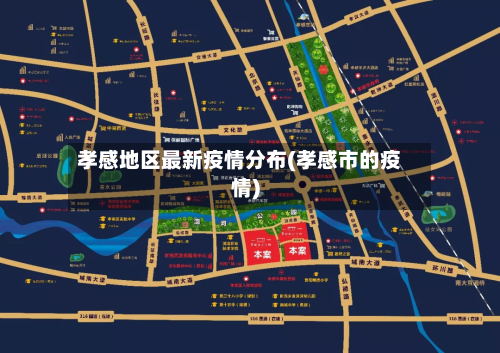 孝感地区最新疫情分布(孝感市的疫情)-第3张图片