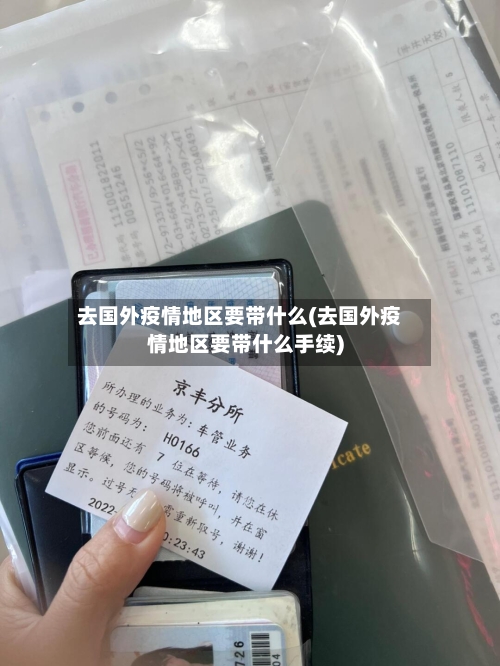 去国外疫情地区要带什么(去国外疫情地区要带什么手续)-第2张图片