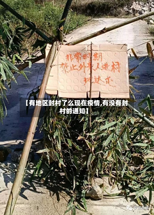 【有地区封村了么现在疫情,有没有封村的通知】-第2张图片