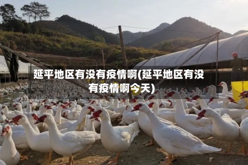 延平地区有没有疫情啊(延平地区有没有疫情啊今天)-第1张图片