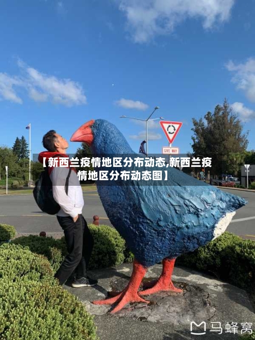 【新西兰疫情地区分布动态,新西兰疫情地区分布动态图】-第1张图片