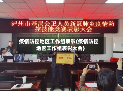 疫情防控地区工作组表彰(疫情防控地区工作组表彰大会)-第1张图片