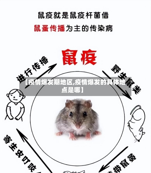 【疫情爆发期地区,疫情爆发的具体地点是哪】-第2张图片