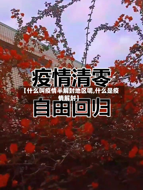 【什么叫疫情半解封地区呢,什么是疫情解封】-第3张图片