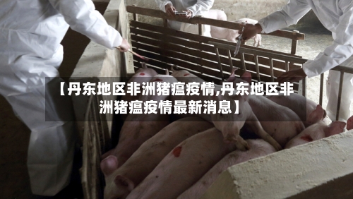 【丹东地区非洲猪瘟疫情,丹东地区非洲猪瘟疫情最新消息】-第1张图片