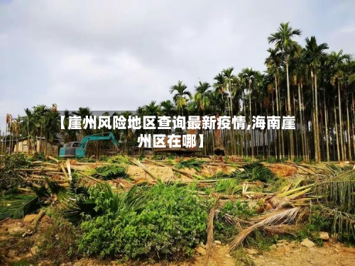 【崖州风险地区查询最新疫情,海南崖州区在哪】-第2张图片