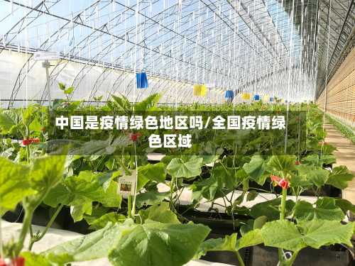 中国是疫情绿色地区吗/全国疫情绿色区域-第1张图片