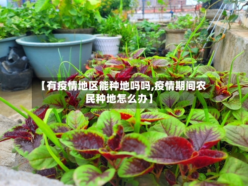 【有疫情地区能种地吗吗,疫情期间农民种地怎么办】-第2张图片