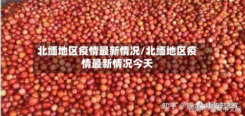 北缅地区疫情最新情况/北缅地区疫情最新情况今天-第3张图片