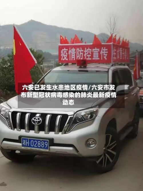 六安已发生水患地区疫情/六安市发布新型冠状病毒感染的肺炎最新疫情动态-第3张图片