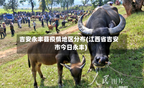 吉安永丰县疫情地区分布(江西省吉安市今日永丰)-第1张图片