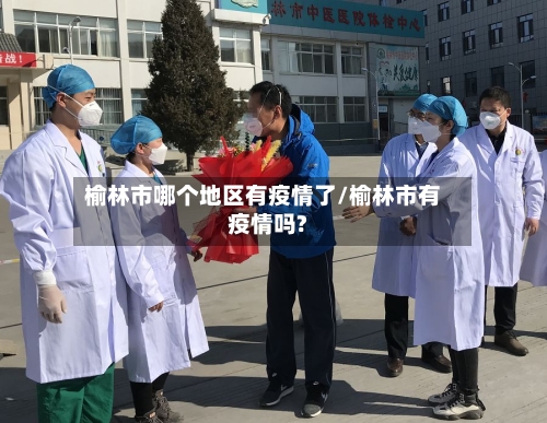 榆林市哪个地区有疫情了/榆林市有疫情吗?-第3张图片