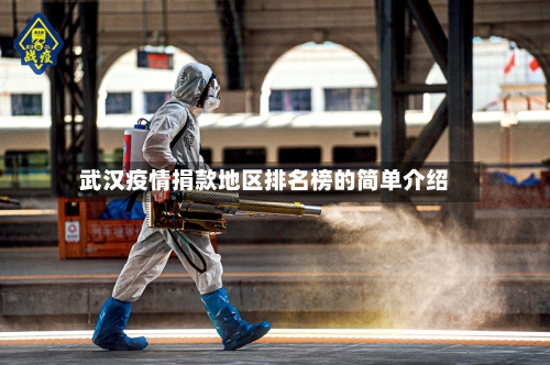 武汉疫情捐款地区排名榜的简单介绍-第1张图片