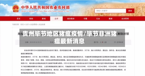 贵州毕节地区猪瘟疫情/毕节非洲猪瘟最新消息-第2张图片