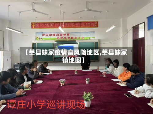 【莘县妹冢疫情高风险地区,莘县妹冢镇地图】-第3张图片