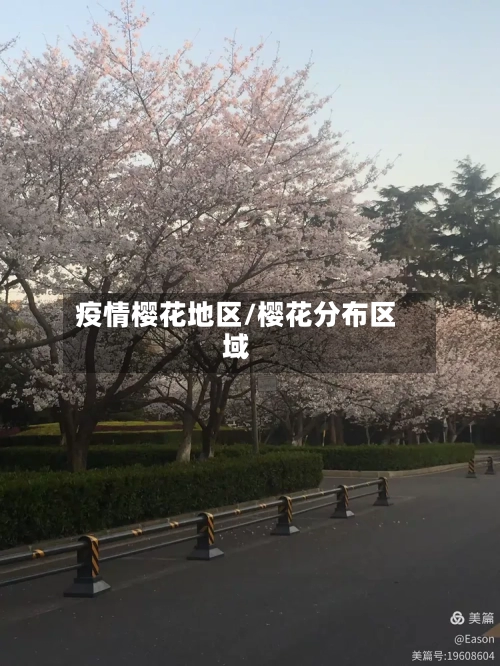 疫情樱花地区/樱花分布区域-第1张图片